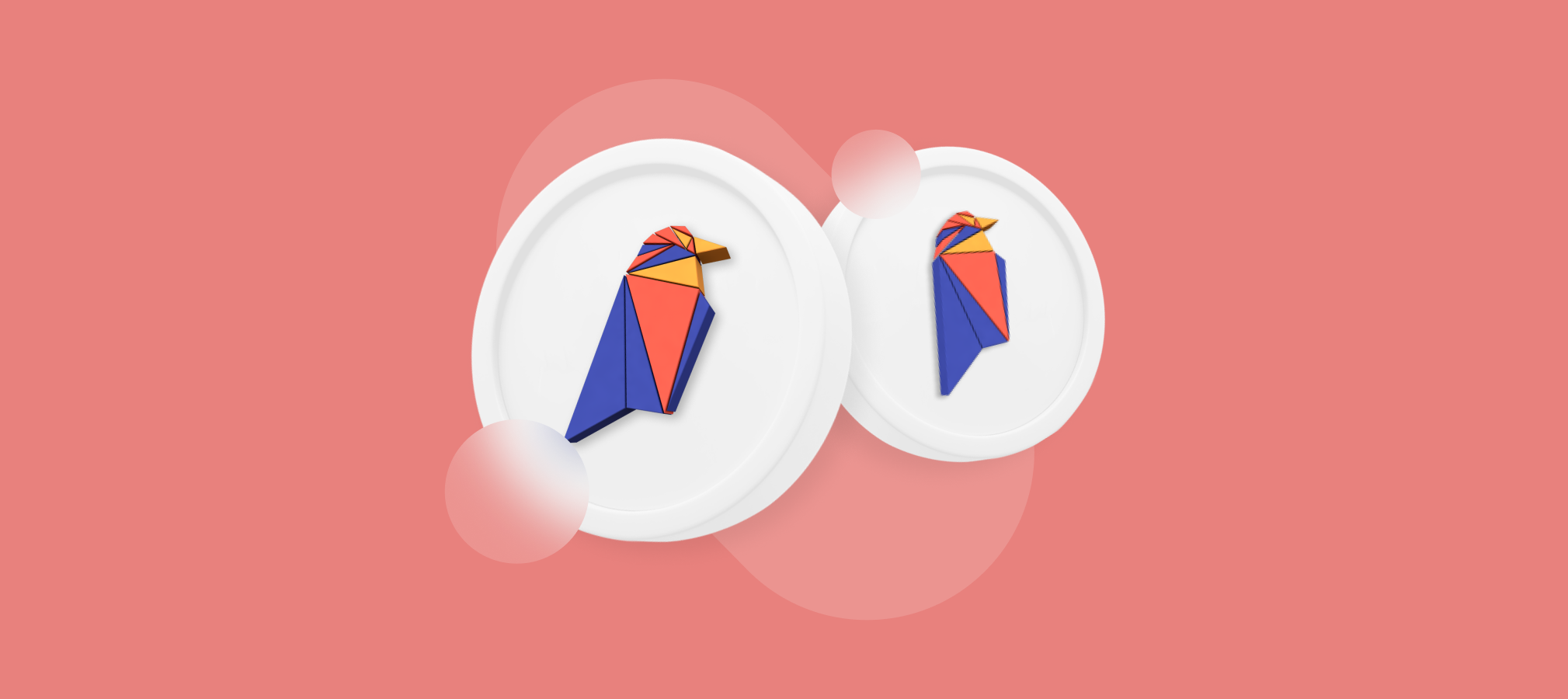 What Is Ravencoin?