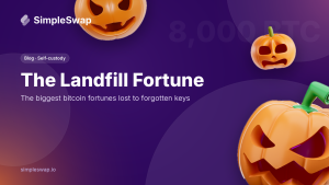The Landfill Fortune: The Biggest Bitcoin Fortunes Lost to Forgotten Keys